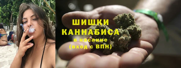 молекула духа Новодвинск