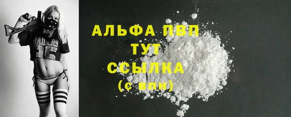 ПСИЛОЦИБИНОВЫЕ ГРИБЫ Новозыбков