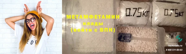 ПСИЛОЦИБИНОВЫЕ ГРИБЫ Новозыбков