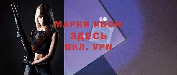ПСИЛОЦИБИНОВЫЕ ГРИБЫ Новозыбков