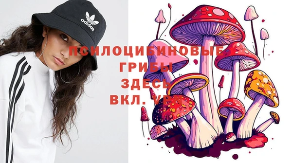 эйфоретик Новокубанск