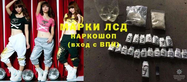 ПСИЛОЦИБИНОВЫЕ ГРИБЫ Новозыбков