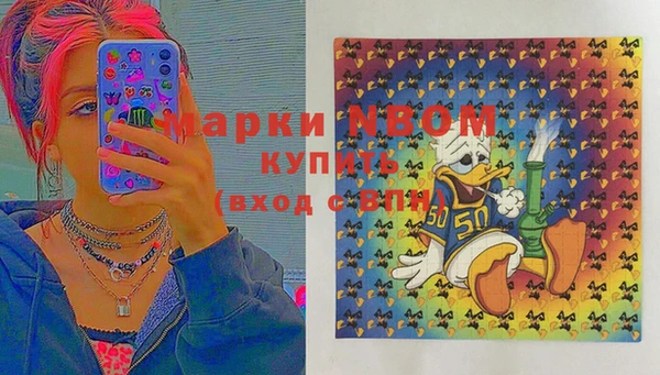 ПСИЛОЦИБИНОВЫЕ ГРИБЫ Новозыбков