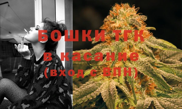 молекула духа Новодвинск