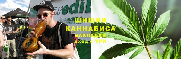 ПСИЛОЦИБИНОВЫЕ ГРИБЫ Новозыбков